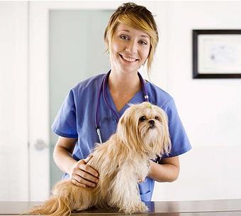 Product - Waldorf Kennels in Ridgefield, WA Pet Boarding & Grooming