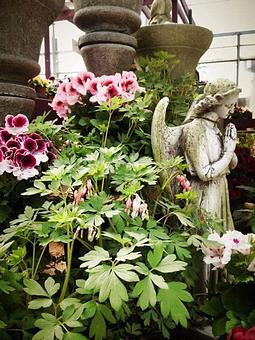 Product - Wallitsch Garden Center in Louisville, KY Nurseries & Garden Centers