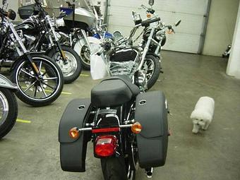 Product - Warren Harley-Davidson Sales, in Cortland, OH Motorcycles