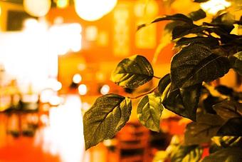 Product - Wasabi Japanese Cuisine in Boise, ID Japanese Restaurants