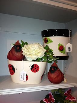 Product - Water's Edge Gift, Garden & Pond Center in Lansing, IL Business Services