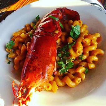 Product - Waterman's Harbor in Dana Point Harbor - Dana Point, CA American Restaurants