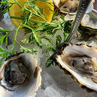 Product - Waterman's Harbor in Dana Point Harbor - Dana Point, CA American Restaurants