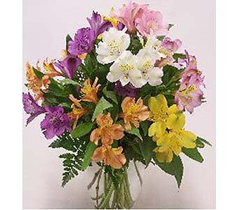 Product - Watson Flower Shops - Store in Tempe, AZ Florists