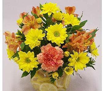 Product - Watson Flower Shops - Store in Tempe, AZ Florists