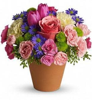 Product - Watson Flower Shops - Store in Tempe, AZ Florists