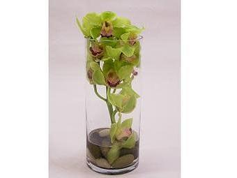 Product - Watson Flower Shops - Store in Tempe, AZ Florists