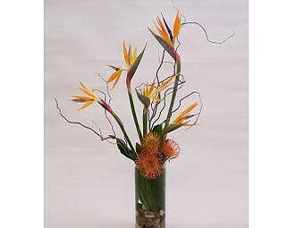 Product - Watson Flower Shops - Store in Tempe, AZ Florists