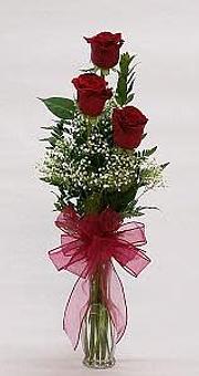 Product - Watson Flower Shops - Store in Tempe, AZ Florists