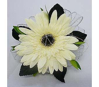 Product - Watson Flower Shops - Store in Tempe, AZ Florists