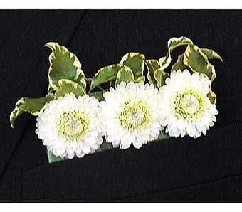 Product - Watson Flower Shops - Store in Tempe, AZ Florists