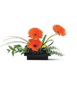 Product - Watson Flower Shops - Store in Tempe, AZ Florists