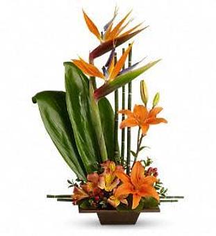 Product - Watson Flower Shops - Store in Tempe, AZ Florists