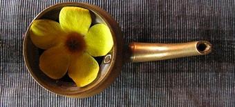 Product - Westchester Acupuncture in Hartsdale, NY Acupressure & Acupuncture Specialists