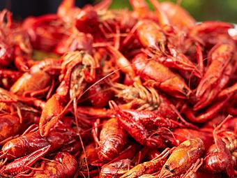 Product - What! Crawfish! in Rochester, NY Cajun & Creole Restaurant