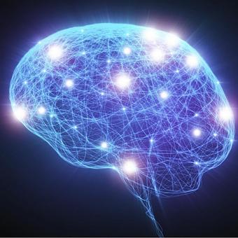 Product - Whole Minded Health in Cambridge, MA Health & Medical Product - Whole Minded Health in Cambridge, MA Health & Medical