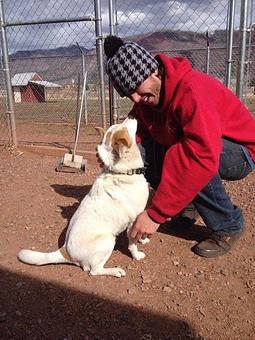 Product - Willow Tree Kennels in Durango, CO Pet Care Services