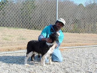 Product: Playtime for one of our guests! - Winding Creek Kennels in Winder, GA Pet Boarding & Grooming