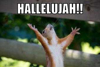 Product - WingPlace Patio in Lexington, SC Bars & Grills