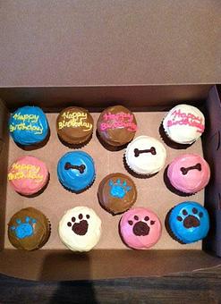 Product - WOOF Gang Bakery & Grooming Palm Beach in Palm Beach, FL Pet Care Services