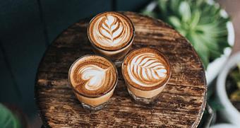 Product - Wycliffe Cafe - Bible Translators in Lake Nona - Orlando, FL Coffee, Espresso & Tea House Restaurants
