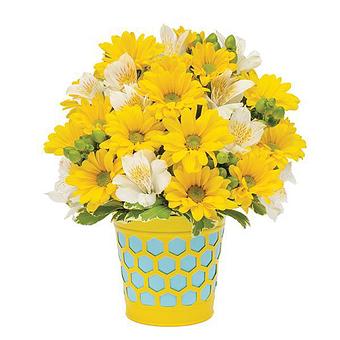 Product - Yellow Flower Dream in Surprise, AZ Florists