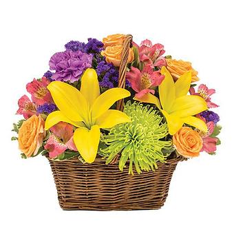 Product - Yellow Flower Dream in Surprise, AZ Florists