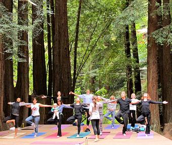 Product - Yoga Mountain Studio in Fairfax, CA Yoga Instruction
