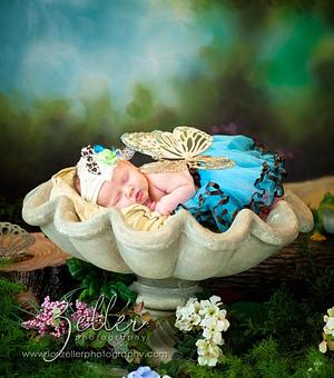 Product - Zeller Photography in South Tulsa/Jenks - Tulsa, OK Misc Photographers