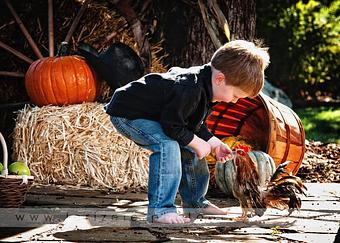 Product - Zeller Photography in South Tulsa/Jenks - Tulsa, OK Misc Photographers