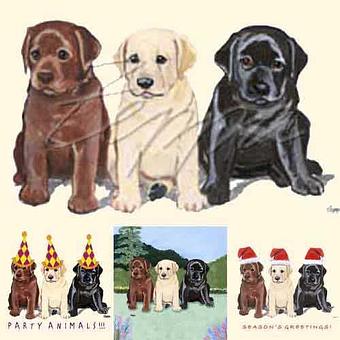 Product - Zeppa Studios, in Pearisburg, VA Misc Photographers