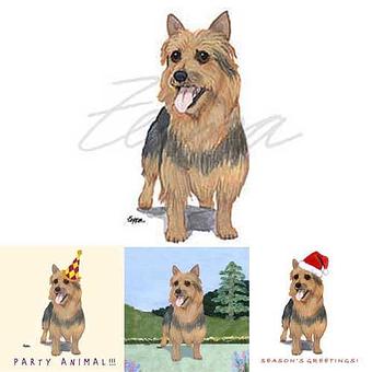 Product - Zeppa Studios, in Pearisburg, VA Misc Photographers