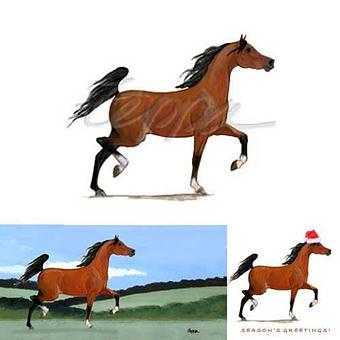 Product - Zeppa Studios, in Pearisburg, VA Misc Photographers