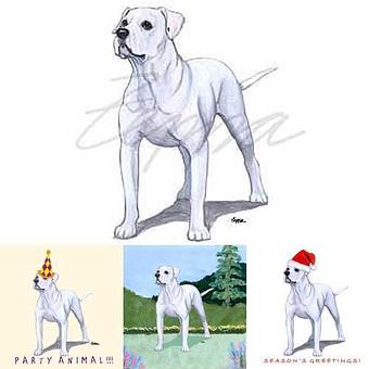 Product - Zeppa Studios, in Pearisburg, VA Misc Photographers