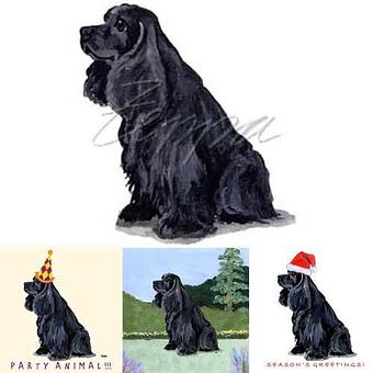 Product - Zeppa Studios, in Pearisburg, VA Misc Photographers