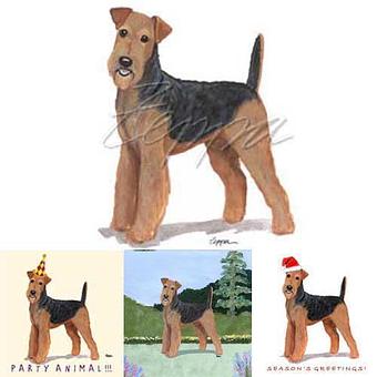 Product - Zeppa Studios, in Pearisburg, VA Misc Photographers