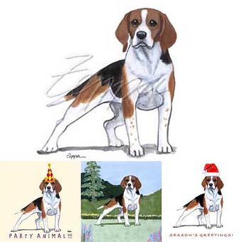 Product - Zeppa Studios, in Pearisburg, VA Misc Photographers