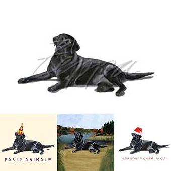 Product - Zeppa Studios, in Pearisburg, VA Misc Photographers