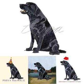 Product - Zeppa Studios, in Pearisburg, VA Misc Photographers