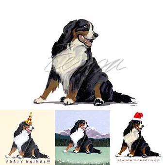 Product - Zeppa Studios, in Pearisburg, VA Misc Photographers