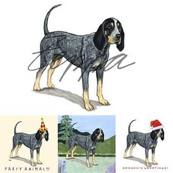 Product - Zeppa Studios, in Pearisburg, VA Misc Photographers