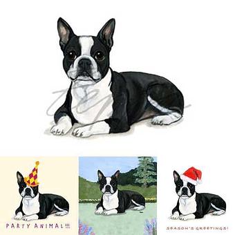 Product - Zeppa Studios, in Pearisburg, VA Misc Photographers