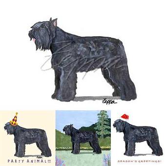 Product - Zeppa Studios, in Pearisburg, VA Misc Photographers