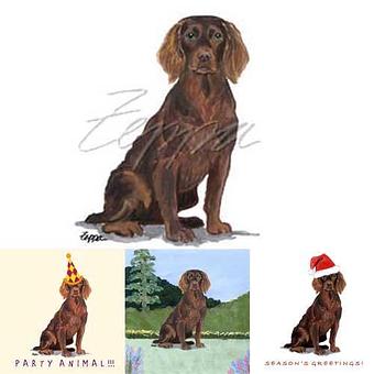 Product - Zeppa Studios, in Pearisburg, VA Misc Photographers