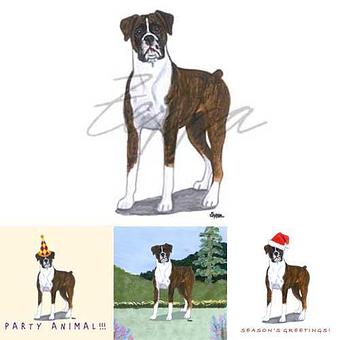 Product - Zeppa Studios, in Pearisburg, VA Misc Photographers