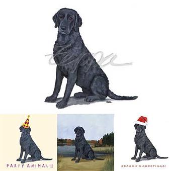 Product - Zeppa Studios, in Pearisburg, VA Misc Photographers