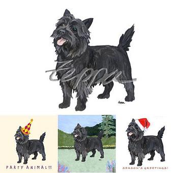 Product - Zeppa Studios, in Pearisburg, VA Misc Photographers