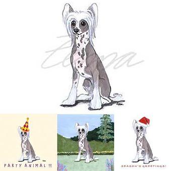 Product - Zeppa Studios, in Pearisburg, VA Misc Photographers