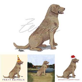 Product - Zeppa Studios, in Pearisburg, VA Misc Photographers