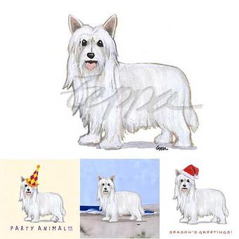 Product - Zeppa Studios, in Pearisburg, VA Misc Photographers